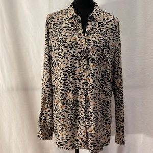 Beachlunchlounge Collection